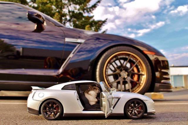 Bildschirmarbeiter - Picdump 11.11.2016