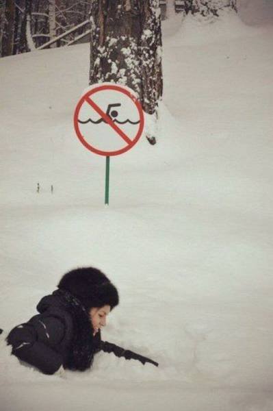 Bildschirmarbeiter - Picdump 18.11.2016 - Nachschlag