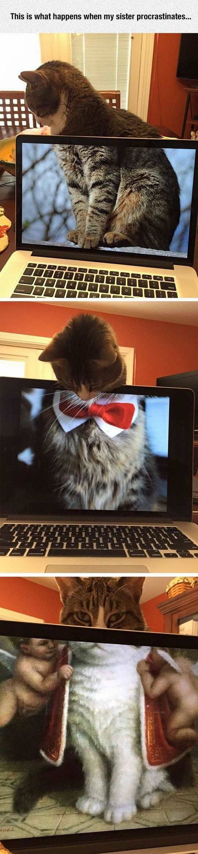 Bildschirmarbeiter - Picdump 18.11.2016 - Nachschlag