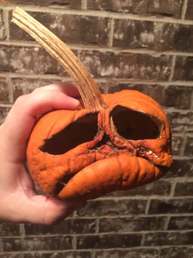 Bildschirmarbeiter - Picdump 18.11.2016 - Nachschlag