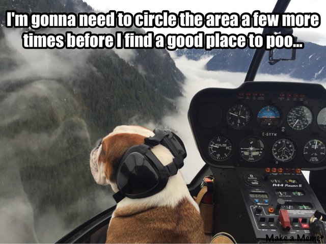 Bildschirmarbeiter - Picdump 18.11.2016 - Nachschlag