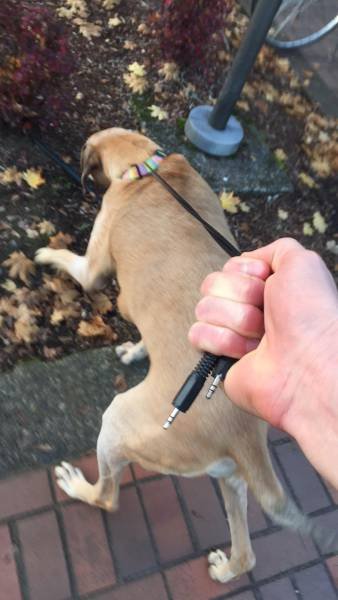 Bildschirmarbeiter - Picdump 18.11.2016 - Nachschlag