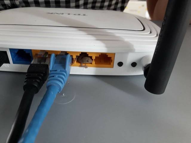 Bildschirmarbeiter - Picdump 18.11.2016 - Nachschlag