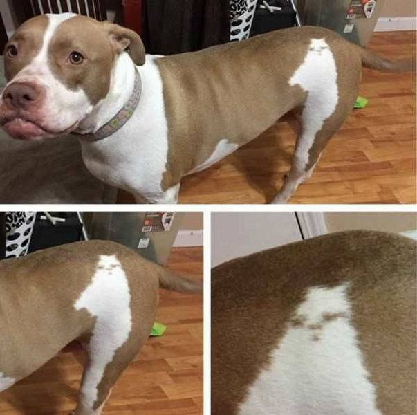 Bildschirmarbeiter - Picdump 18.11.2016