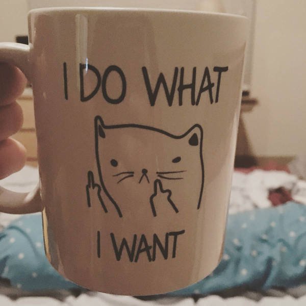 Bildschirmarbeiter - Picdump 18.11.2016