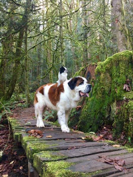 Bildschirmarbeiter - Picdump 18.11.2016