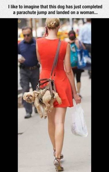 Bildschirmarbeiter - Picdump 18.11.2016