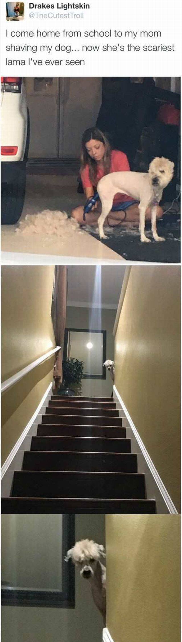 Bildschirmarbeiter - Picdump 18.11.2016