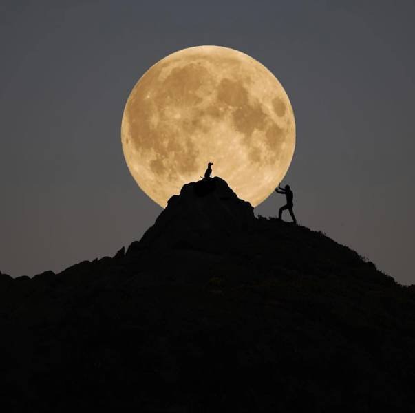 Bildschirmarbeiter - Picdump 18.11.2016