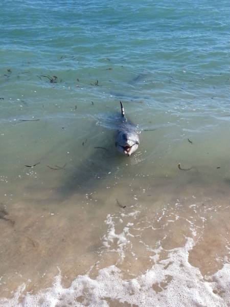 Bildschirmarbeiter - Picdump 18.11.2016