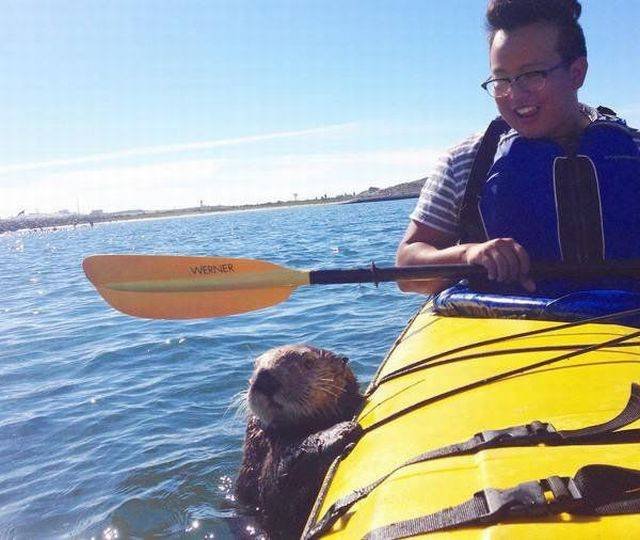 Bildschirmarbeiter - Picdump 18.11.2016