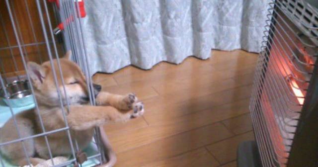 Bildschirmarbeiter - Picdump 18.11.2016