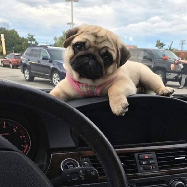 Bildschirmarbeiter - Picdump 18.11.2016