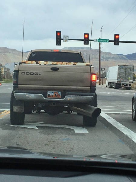 Bildschirmarbeiter - Picdump 18.11.2016