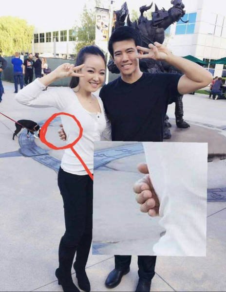 Bildschirmarbeiter - Picdump 18.11.2016