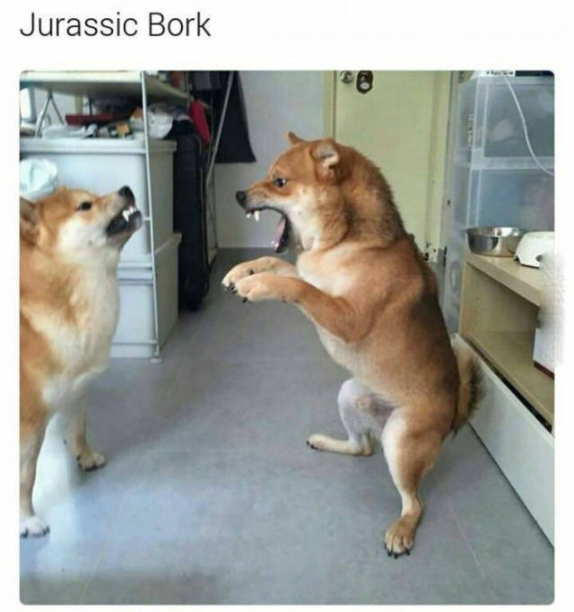 Bildschirmarbeiter - Picdump 18.11.2016