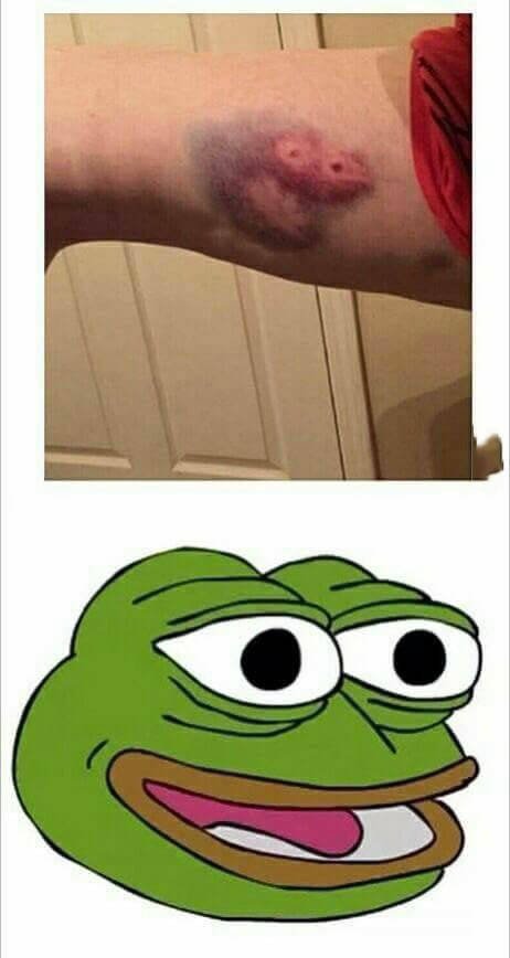 Bildschirmarbeiter - Picdump 18.11.2016