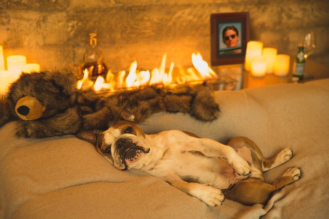 Bildschirmarbeiter - Picdump 18.11.2016