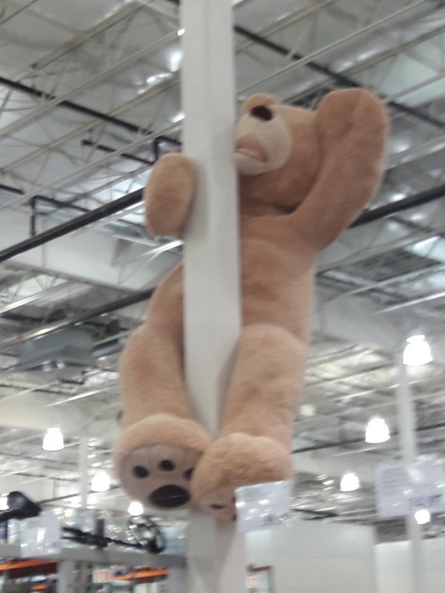 Bildschirmarbeiter - Picdump 25.11.2016