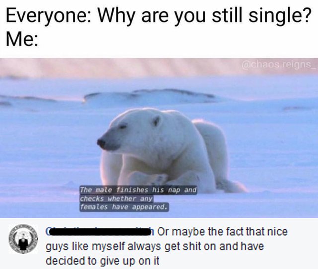 Bildschirmarbeiter - Picdump 25.11.2016