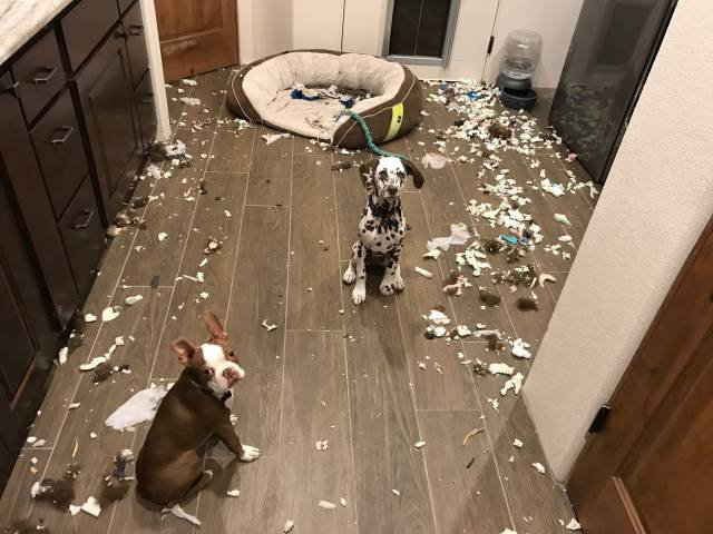 Bildschirmarbeiter - Picdump 25.11.2016