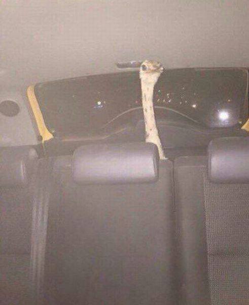 Bildschirmarbeiter - Picdump 25.11.2016