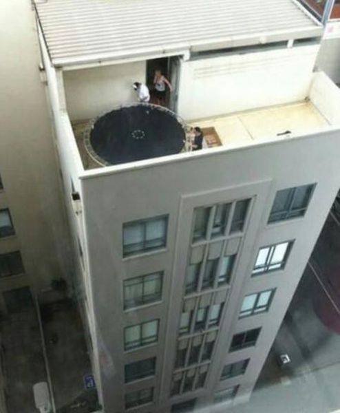 Bildschirmarbeiter - Picdump 25.11.2016