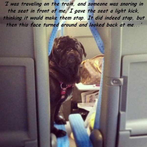 Bildschirmarbeiter - Picdump 25.11.2016