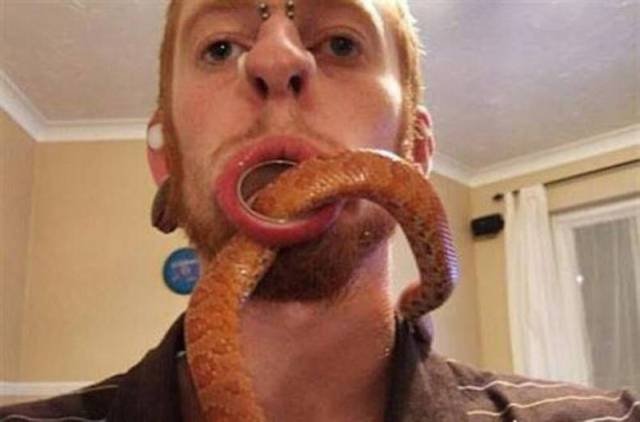 Bildschirmarbeiter - Picdump 25.11.2016