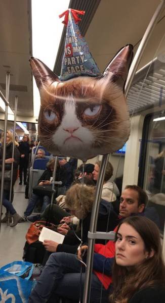 Bildschirmarbeiter - Picdump 25.11.2016