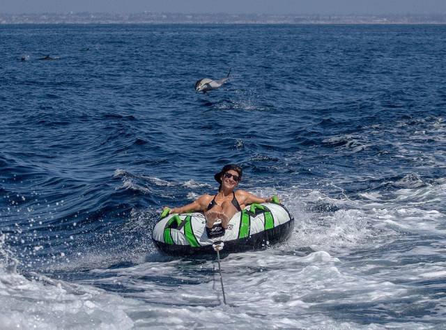 Bildschirmarbeiter - Picdump 25.11.2016