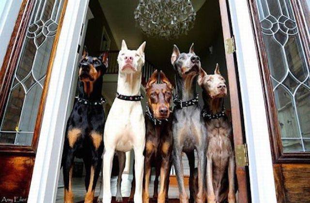 Bildschirmarbeiter - Picdump 25.11.2016