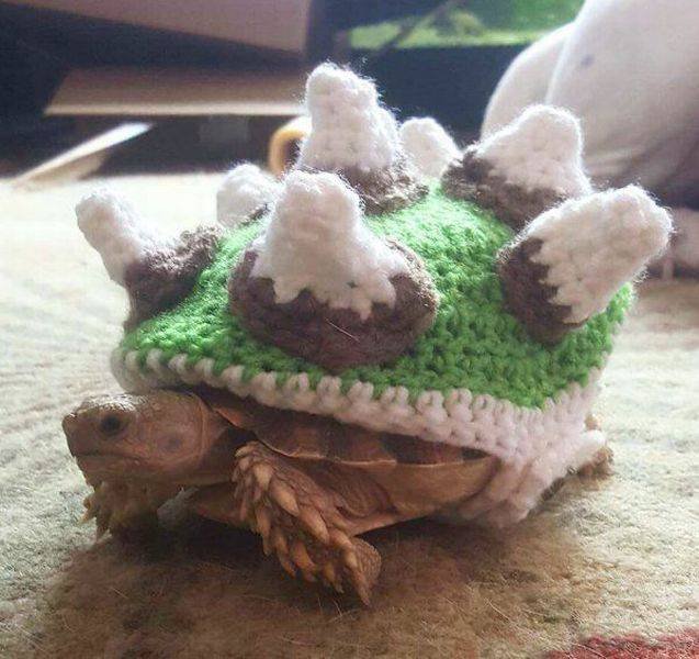 Bildschirmarbeiter - Picdump 25.11.2016