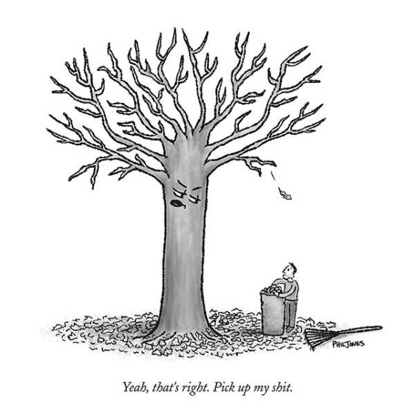 Bildschirmarbeiter - Picdump 25.11.2016