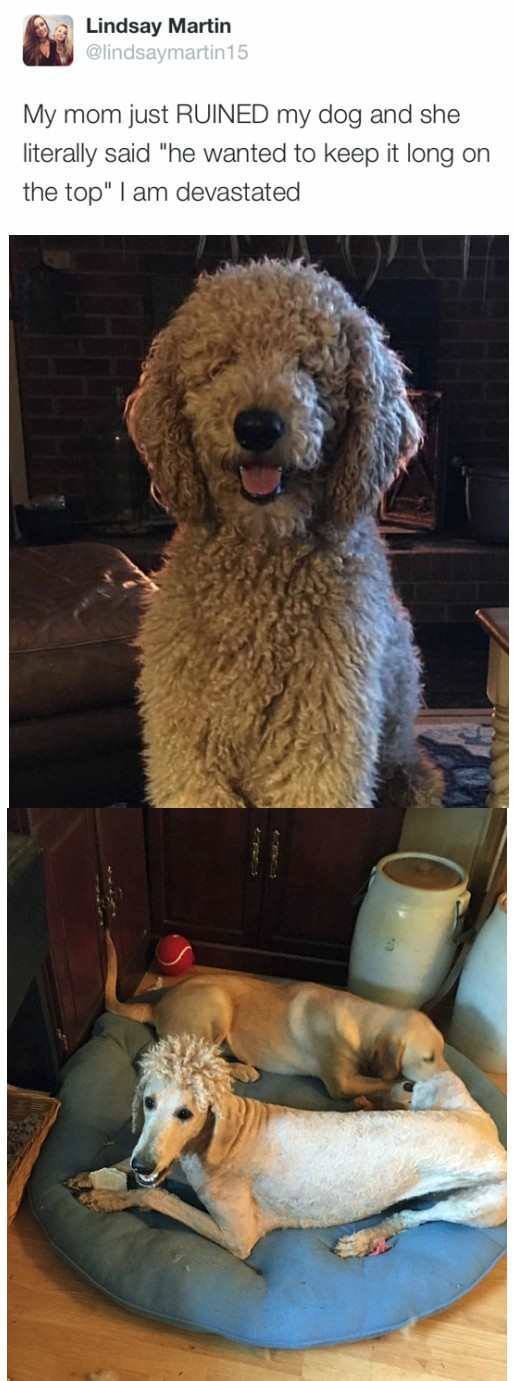 Bildschirmarbeiter - Picdump 25.11.2016