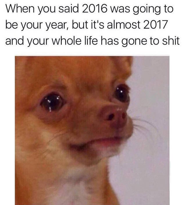 Bildschirmarbeiter - Picdump 25.11.2016