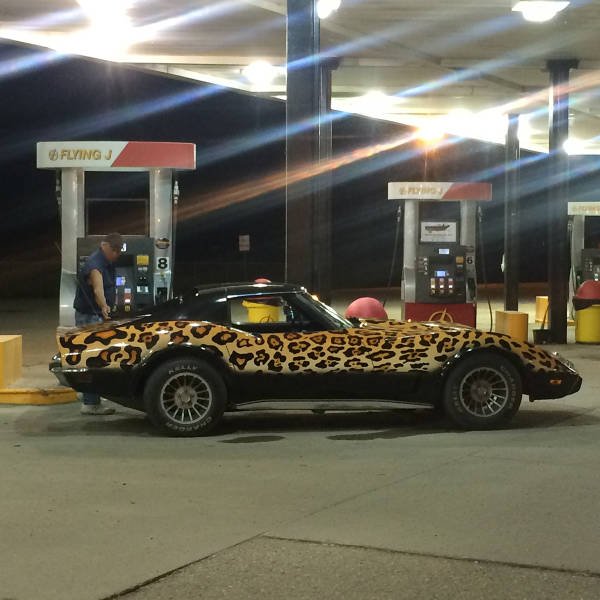 Bildschirmarbeiter - Picdump 25.11.2016