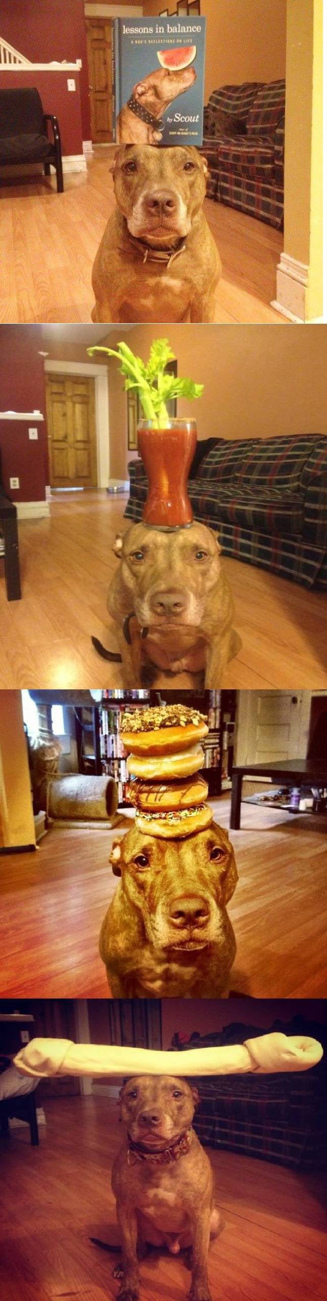 Bildschirmarbeiter - Picdump 25.11.2016