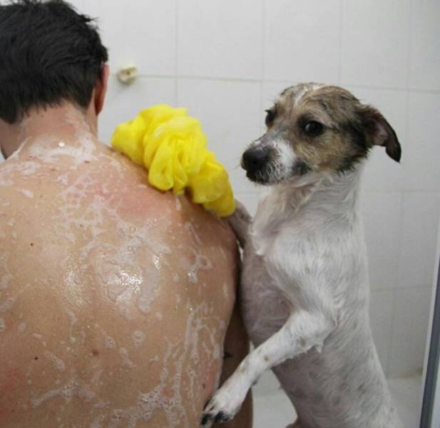 Bildschirmarbeiter - Picdump 25.11.2016