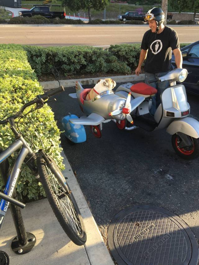 Bildschirmarbeiter - Picdump 25.11.2016