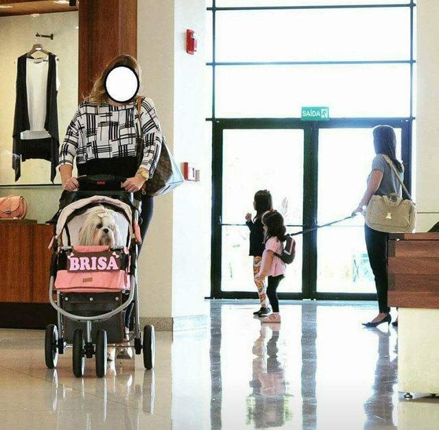 Bildschirmarbeiter - Picdump 25.11.2016