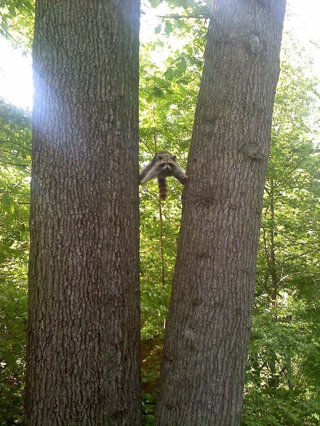 Bildschirmarbeiter - Picdump 02.12.2016 - NACHSCHLAG