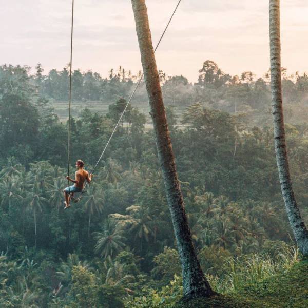 Bildschirmarbeiter - Picdump 02.12.2016 - NACHSCHLAG