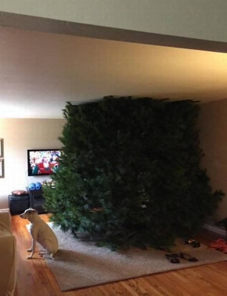 Bildschirmarbeiter - Picdump 02.12.2016 - NACHSCHLAG