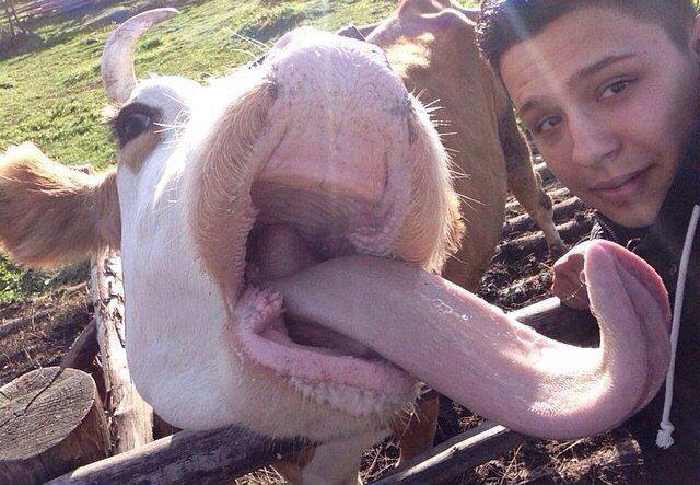 Bildschirmarbeiter - Picdump 02.12.2016 - NACHSCHLAG