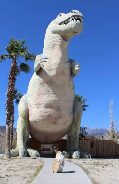 Bildschirmarbeiter - Picdump 02.12.2016 - NACHSCHLAG