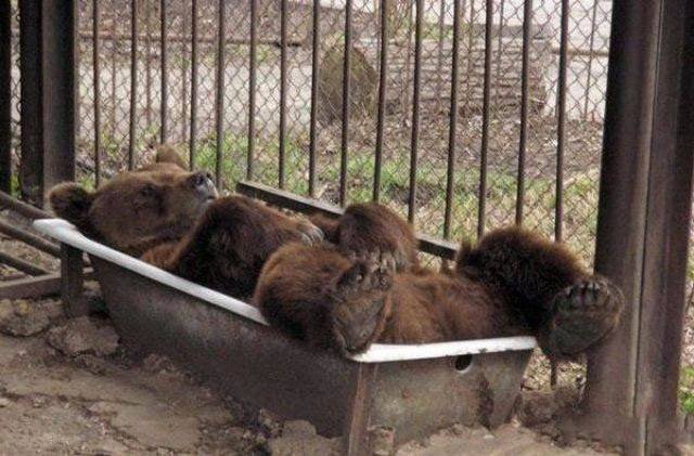 Bildschirmarbeiter - Picdump 02.12.2016 - NACHSCHLAG