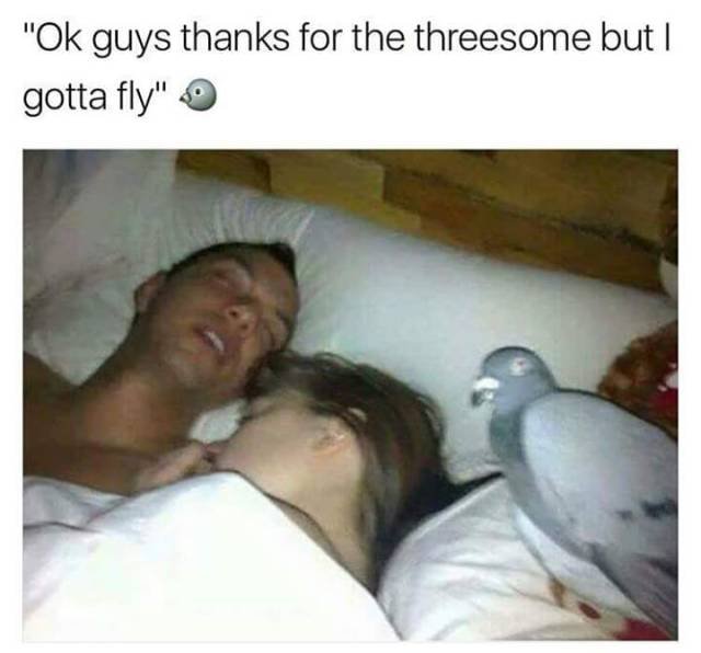 Bildschirmarbeiter - Picdump 02.12.2016 - NACHSCHLAG