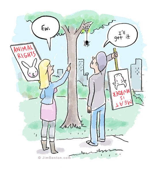 Bildschirmarbeiter - Picdump 02.12.2016 - NACHSCHLAG