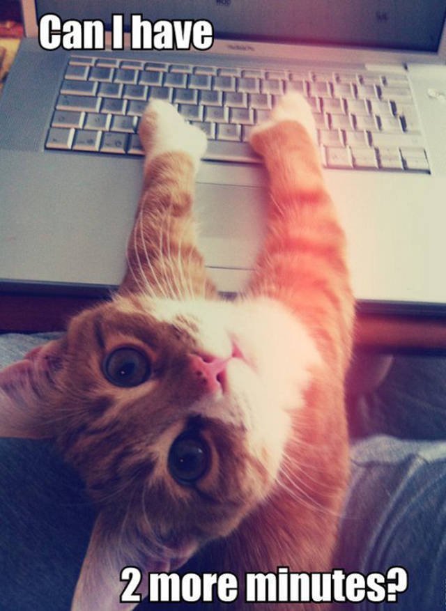 Bildschirmarbeiter - Picdump 02.12.2016 - NACHSCHLAG